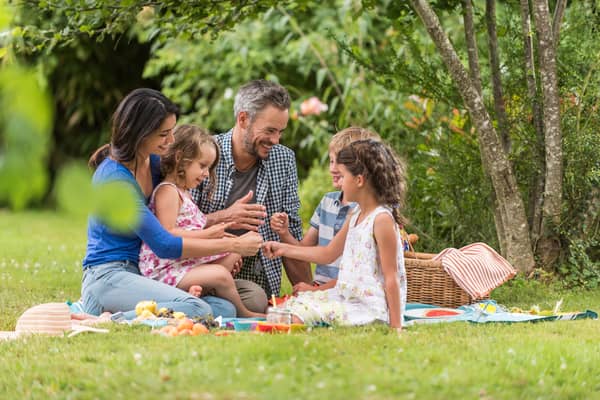 Picnic baskets, blankets, cooler bags and backpacks 2021