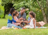 Picnic baskets, blankets, cooler bags and backpacks 2021