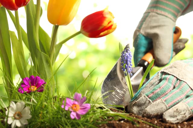 Best garden trowels UK 2021