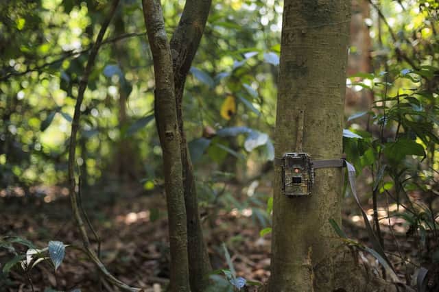 The best home wildlife cameras to photograph birds and garden animals