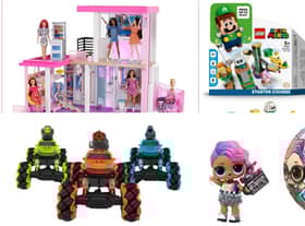 Hamleys have revealed their top 10 Christmas toys for 2021