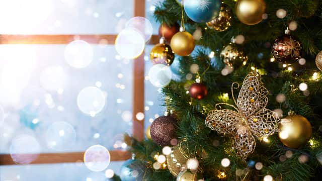 <p>Christmas decorations from Gisela Graham and Lidl, along with Christmas lights </p>