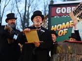 Groundhog Day has been immortalised on screen in the Bill Murray classic comedy - but what is the real life Groundhog Day tradition? (Credit: 