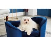 Small Navy Pet Sofa Bed