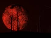 A red full moon. Image: kmls - stock.adobe.com