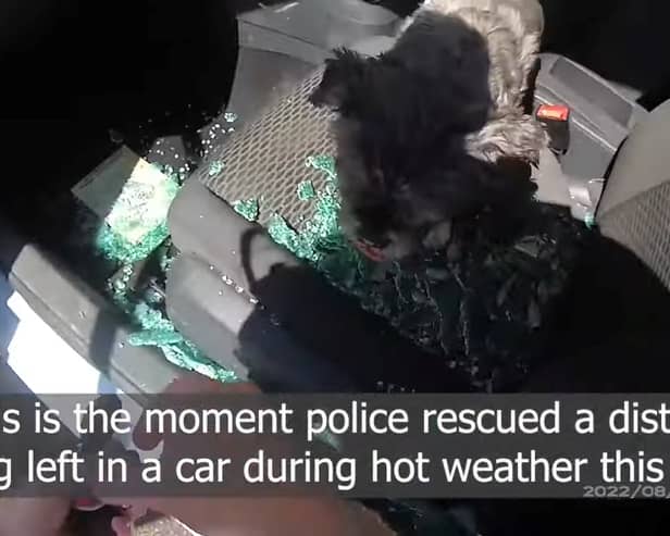 Photo: Nottinghamshire Police/SWNS)