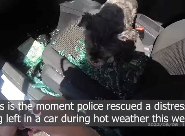 Photo: Nottinghamshire Police/SWNS)
