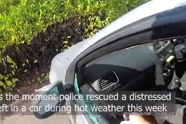 Officers smashed the car window to save the dog as temperatures hit 33C (Photo: Nottinghamshire Police/SWNS)