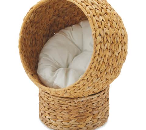 Cat Egg Chair (Aldi)