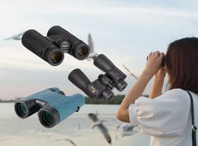 Best binoculars 2022 for birdwatching and nature hikes 