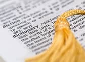 Collins Dictionary releases 2022 top words including Word Of The Year 
