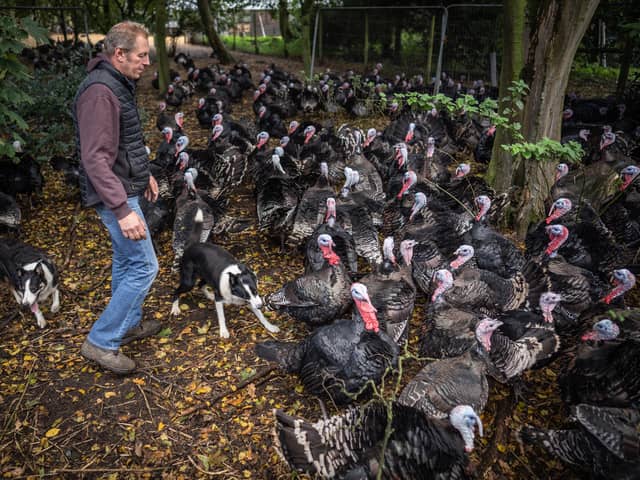 Childerhouse, who runs 35-acre Whews Farm in Norfolk, had to cull his 10,000-strong flock of turkeys earlier this autumn. 