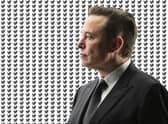 Elon Musk’s influence at Twitter is starting to be felt within the product itself (Image: NationalWorld / Getty Images)