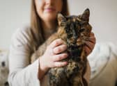 Flossie, pictured here with new owner Vicki, has been named the world’s oldest cat by the Guiness Book of World Records.