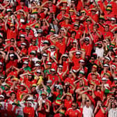 The red wall has followed Wales to Qatar