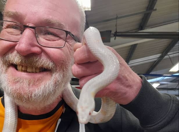<p>Dave French with Antoinette the corn snake.</p>
