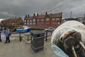 A walrus called Thor was spotted having a rest at Scarborough Harbour ahead of the New Year