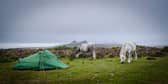 Wild camping on Dartmoor has been restricted after a new High Court ruling. (Credit: Adobe)