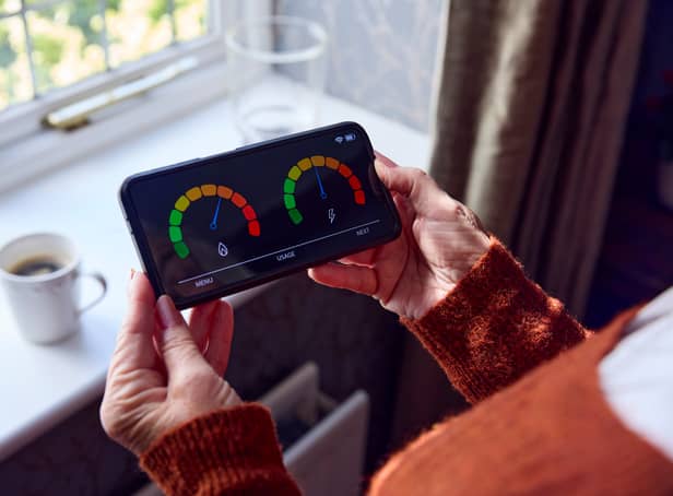 The National Grid ESO scheme rewards users for changing their habits and reducing their electricity usage during certain peak hours.