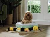 Aldi has launched an affordable pet range this month