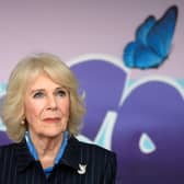 Queen Consort Camilla have tested positive for Covid-19, say Buckingham Palace officials.