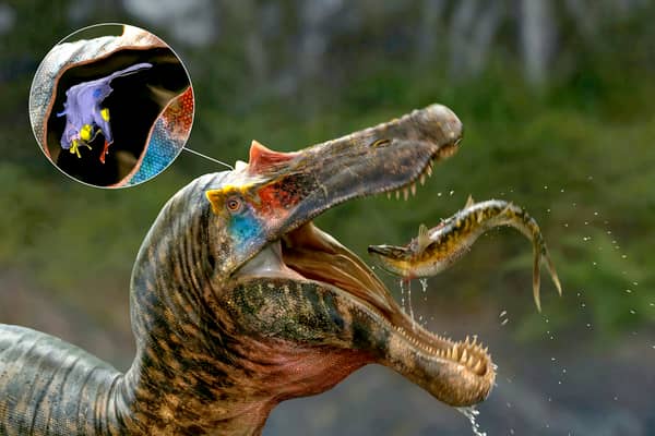 The brains of spinosaurs, the biggest meat-eater to ever exist on our planet, have been unveiled by a group of UK and US scientists.