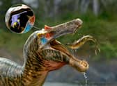 The brains of spinosaurs, the biggest meat-eater to ever exist on our planet, have been unveiled by a group of UK and US scientists.