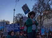 The Royal College of Nursing has taken part in strike action in recent weeks 