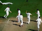 Neil Wagner of New Zealand celebrate the wicket of during day five of the Second Test Match between New Zealand and England at Basin Reserve on February 28, 2023 in Wellington, New Zealand. (Photo by Hagen Hopkins/Getty Images)
