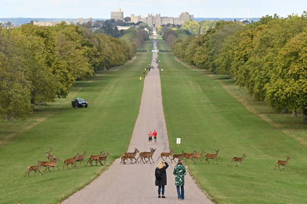 King Charles III is making some major changes to make Windsor Castle more environmentally friendly.