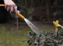 Some areas in England could see hosepipe bans this year after a dry winter.