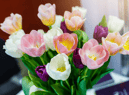 Mother’s Day 2023 - Morrisons best offers