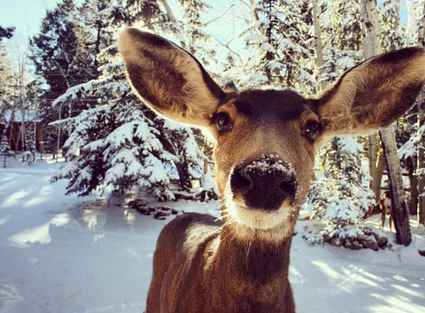 Finland to teach Brits how to be happy on all-expenses paid trip to luxury Finnish resort