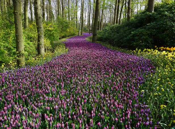 Met Office UK weather forecast confirms Spring will finally arrive this week - when temperatures will rise