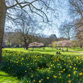 Easter weekend is set to be drier and brighter, the Met Office said (Photo by Dave Rushen/SOPA Images/LightRocket via Getty Images)