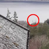 Loch Ness Monster 2023: Holidaymaker captures image of ‘creature’ with ‘huge neck’ & believes it’s Nessie