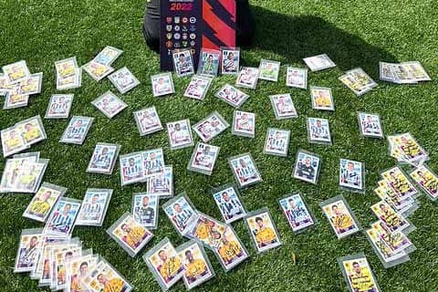 Zakai Vaknin, from Spixworth in Norfolk - sticker mission