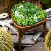 Try eco-friendly garden furniture (photo: Adobe)