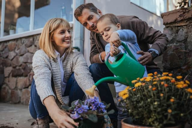 Green-fingered little hands can get involved in National Children's Gardening Week (photo: adobe)