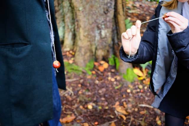 Conkers disappearing as a children's game (photo: adobe)