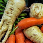 One of the UK’s major supermarket chains is selling vegetables for 1p a pack to help those struggling with the cost of living crisis (Getty Images)