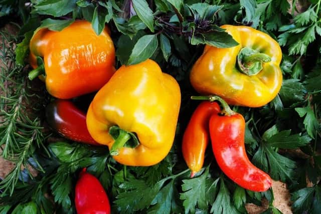Plant peppers between April and June
