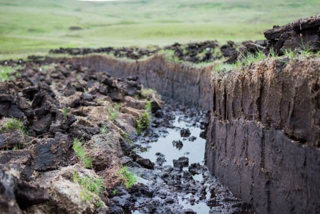 Important peatlands (photo: adobe)