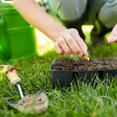 Help mum to grow her own flowerrs with seeds (photo: adobe)