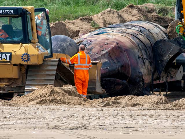 A large whale was found washing up on a British beach this week