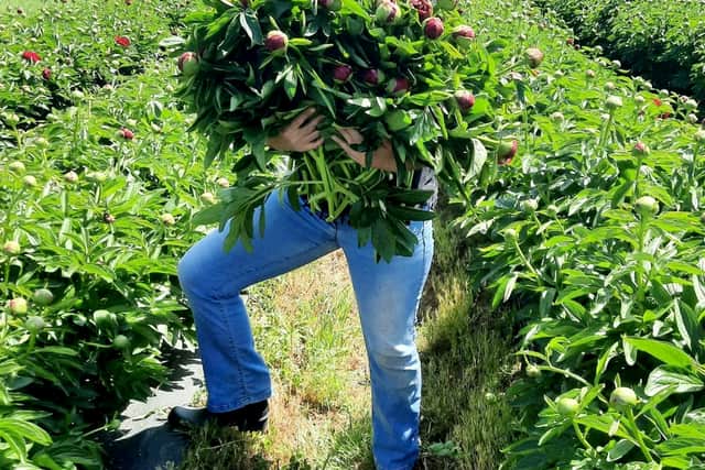 The 47-year-old has farmed the bright wedding favourites on a seven acre field near Osgathorpe, Leicestershire since 2017.