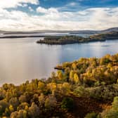 This majestic island is for sale in Loch Lomond and it has 14th century links to Robert the Bruce