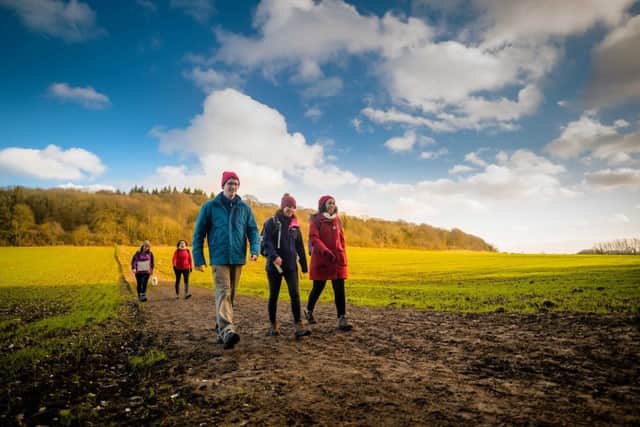 Blowing off the cobwebs on a winter woodland walk (photo: Ramblers)