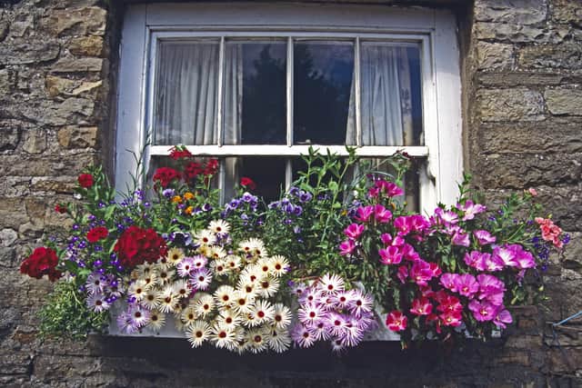 Colourful flowers displayed in window box on an old stone cottage