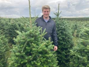 Mark Rofe owner of Christmastrees.co.uk